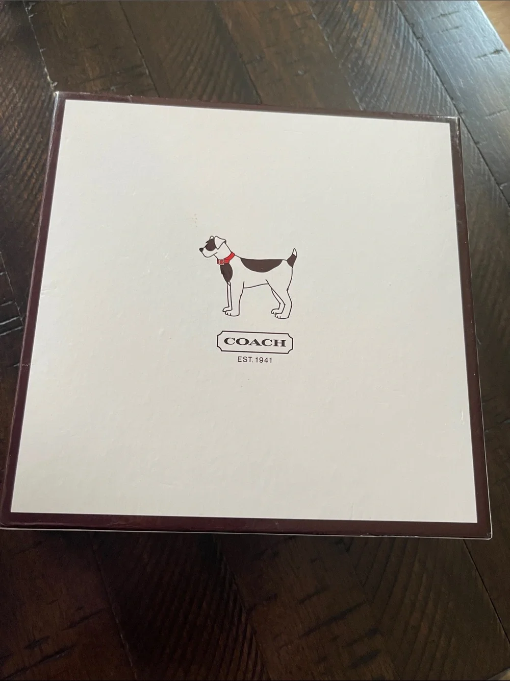 Coach Small/Miniature dog leash black 50